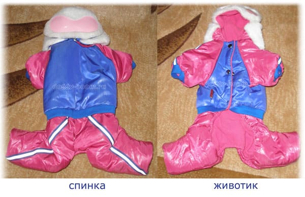 Комбинезон для йорка